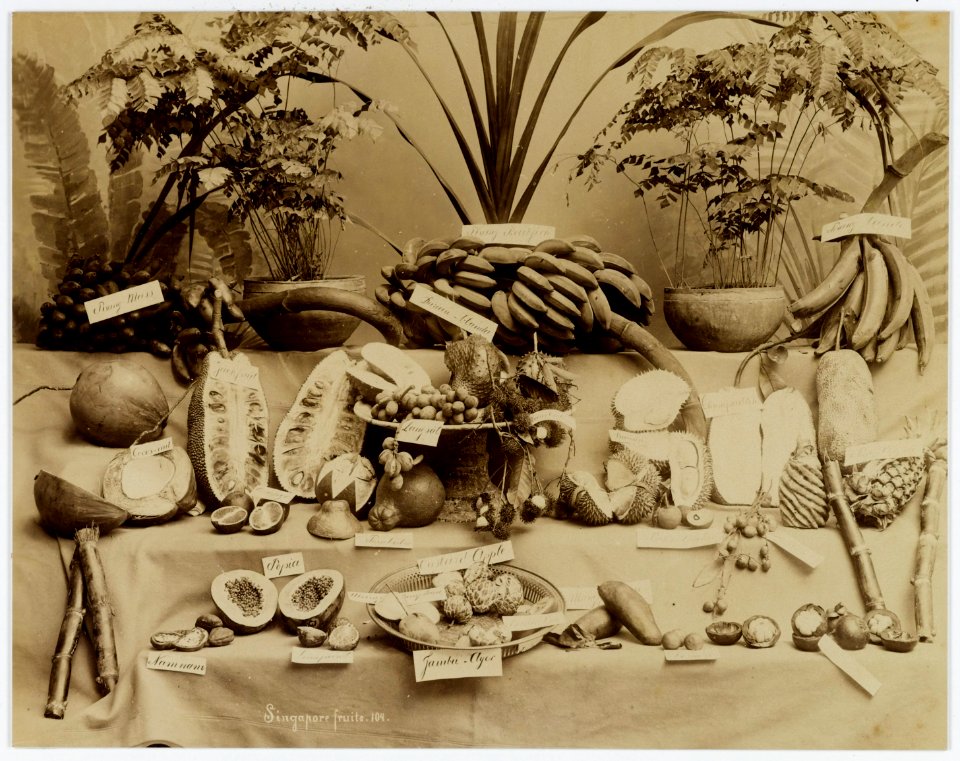 KITLV - 18857 - Fruit from Singapore - circa 1900