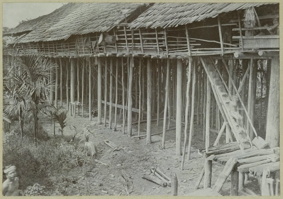 KITLV - 25659 - Demmeni, J. - The house with main staircase and platform of the Kayan headman Akam Igau at Tanjong Karang, Central Borneo. In the foreground are some Pinang palms - 1896-05