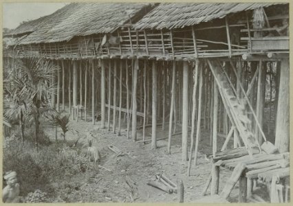 KITLV - 25659 - Demmeni, J. - The house with main staircase and platform of the Kayan headman Akam Igau at Tanjong Karang, Central Borneo. In the foreground are some Pinang palms - 1896-05