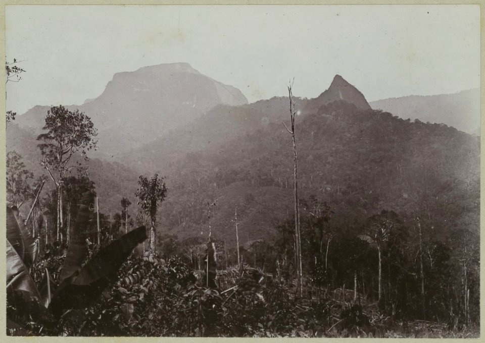 KITLV - 25667 - Demmeni, J. - The Terata, a volcano located near the watershed of the Kapuas River (Sungai Kapuas) and the Mahakam, Central Borneo - 1896-1897