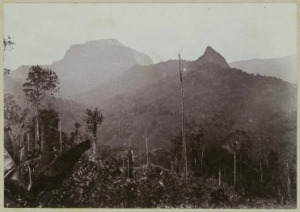 KITLV - 25667 - Demmeni, J. - The Terata, a volcano located near the watershed of the Kapuas River (Sungai Kapuas) and the Mahakam, Central Borneo - 1896-1897