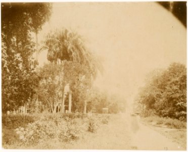 KITLV - 39020 - Muller, Julius Eduard - Paramaribo - Willemsbrug over the Sommelsdijksekreek in the Grote Combéweg, Paramaribo - circa 1885