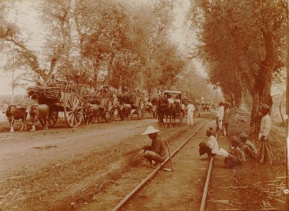 KITLV - 152201 - Kurkdjian - Ox cart transportation of sugarcane in Java - 1921 photo