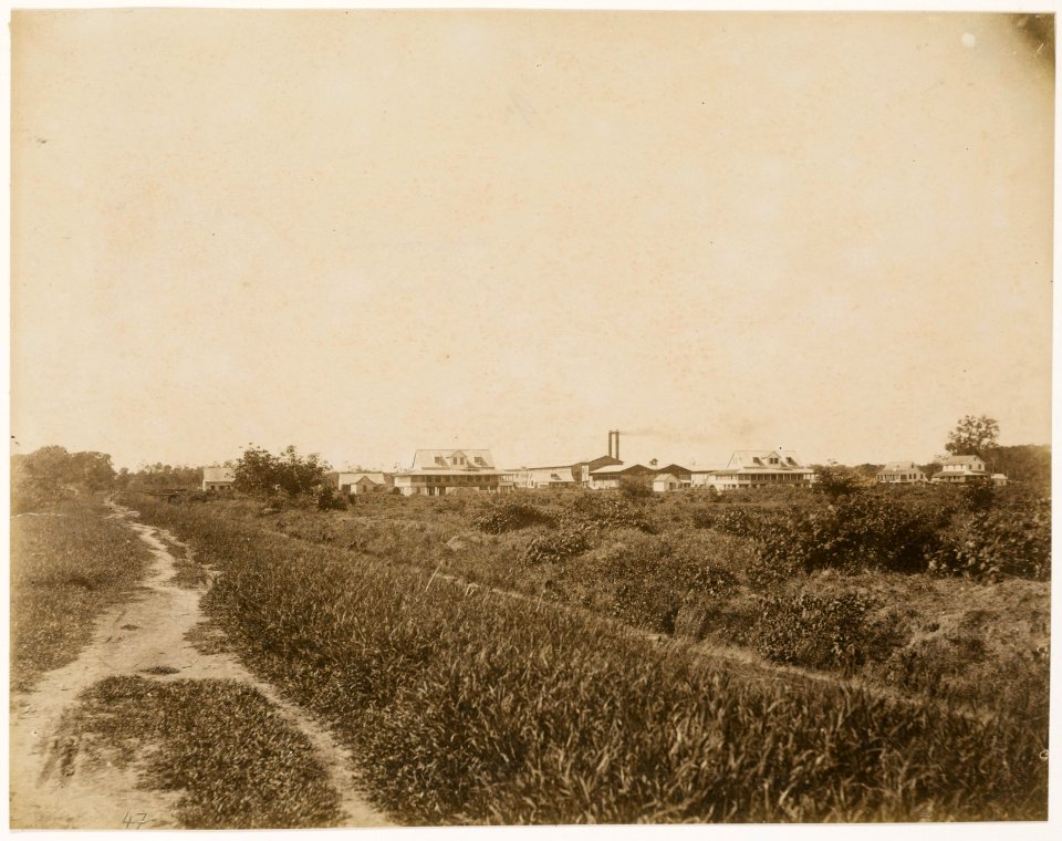 KITLV - 39048 - Muller, Julius Eduard - Paramaribo - Sugar plantation at Marienburg in Surinam - circa 1885
