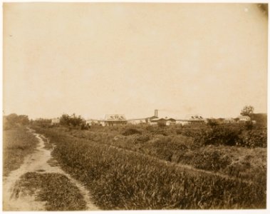 KITLV - 39048 - Muller, Julius Eduard - Paramaribo - Sugar plantation at Marienburg in Surinam - circa 1885 photo