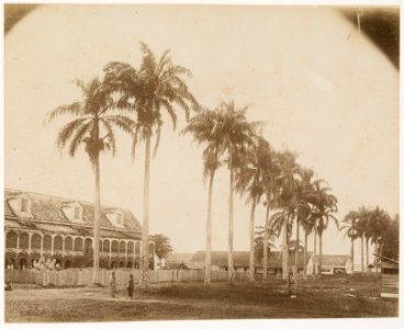 KITLV - 39052 - Muller, Julius Eduard - Paramaribo - Former plantation Alkmaar on the Commewijne River in Surinam - circa 1885 photo
