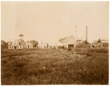 KITLV - 39056 - Muller, Julius Eduard - Paramaribo - Plantation Zorg en Hoop (sugar, cocoa, bananas) in Surinam - circa 1885
