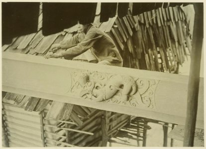 KITLV - 25711 - Demmeni, J. - Woodcarving (dog) on the wooden paneling in the house of Kwing Irang, head of the Kayans on the Upper Mahakam - 1898-1900
