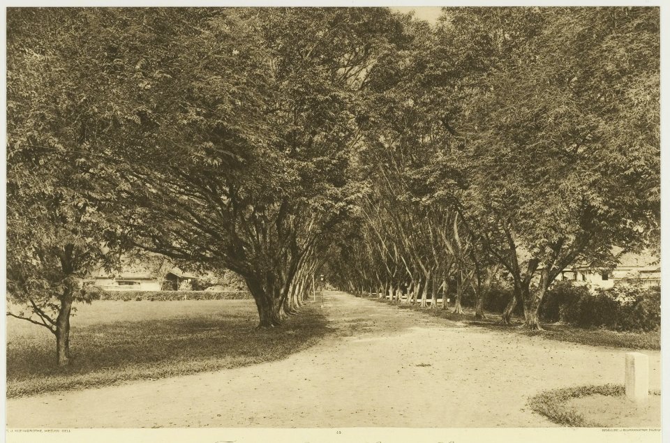 KITLV - 26872 - Kleingrothe, C.J. - Medan - Sennahlaan at Tandjong Poera (Tanjung Pura), East Coast of Sumatra - circa 1905
