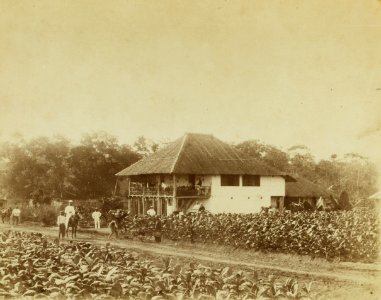 KITLV - 40333 - Stafhell & Kleingrothe - Medan - Planter's house in Deli - circa 1890