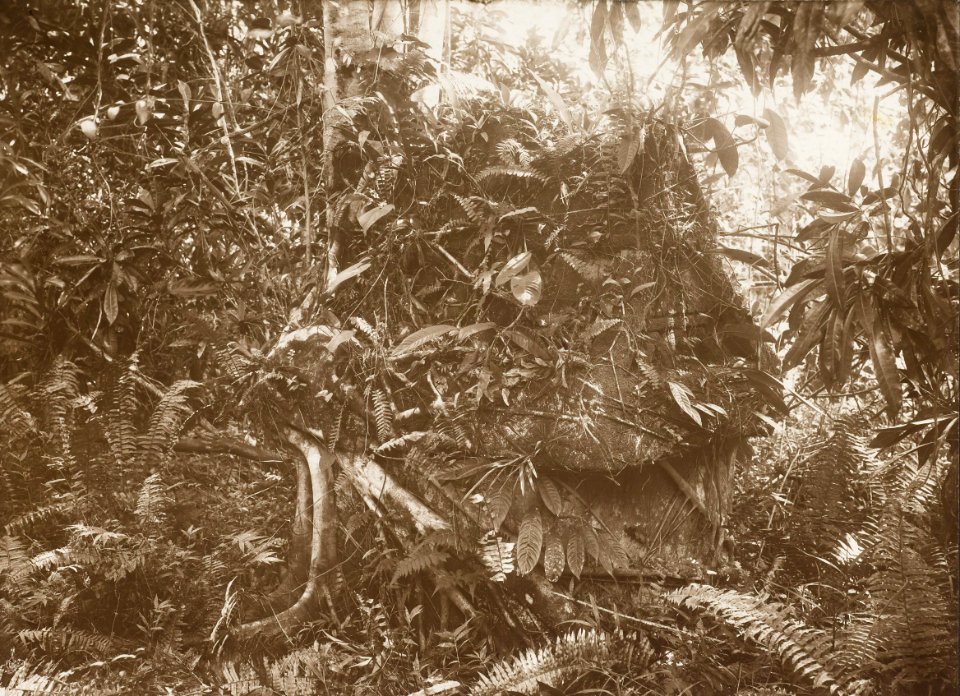 KITLV - 158786 - Kurkdjian - Sourabaia-Java - Overgrown tomb (waruga) in the Minahasa - circa 1900