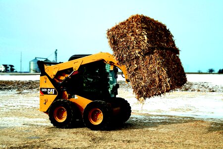 Cat 242d pile