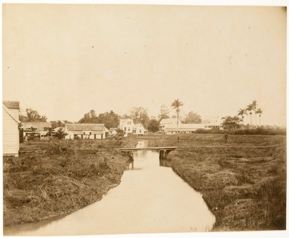 KITLV - 39050 - Muller, Julius Eduard - Paramaribo - Plantation Sorgvliet (cacao and banana) in Surinam - circa 1885