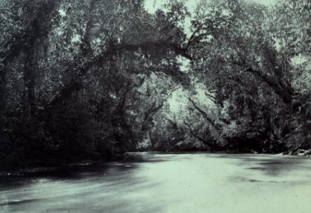 KITLV - 408004 - Demmeni, J. - River during the Borneo expedition led by Dr. A. W. Nieuwenhuis - 1896-1897