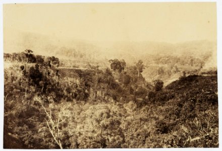 KITLV - 16041 - Junghuhn, Franz Wilhelm (1809-1864) - View from the house of Junghuhn on forests in Lembang near Bandung - circa 1860