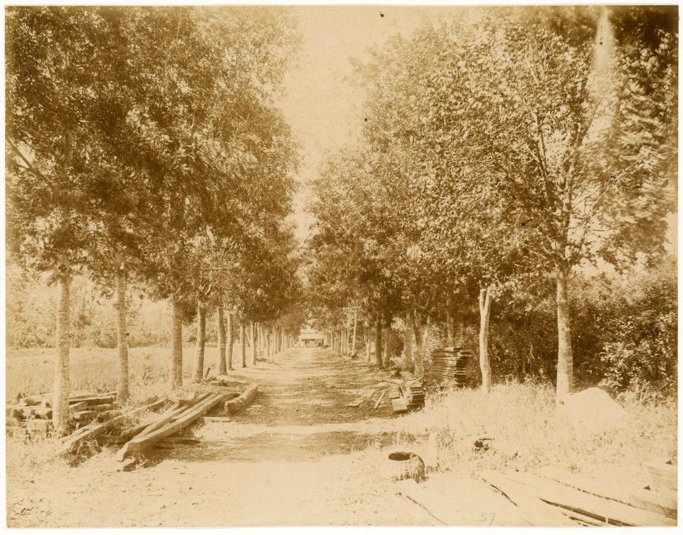 KITLV - 39058 - Muller, Julius Eduard - Paramaribo - Plantation Weltevreden (wood) in Surinam - circa 1885