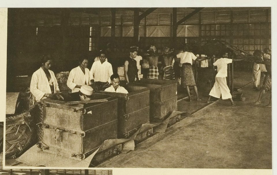 KITLV - 26928 - Kleingrothe, C.J. - Medan - Pressing and packaging of tobacco, East Coast of Sumatra - circa 1905