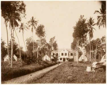 KITLV - 39062 - Muller, Julius Eduard - Paramaribo - The former plantation Domburg on the Surinam River - circa 1885