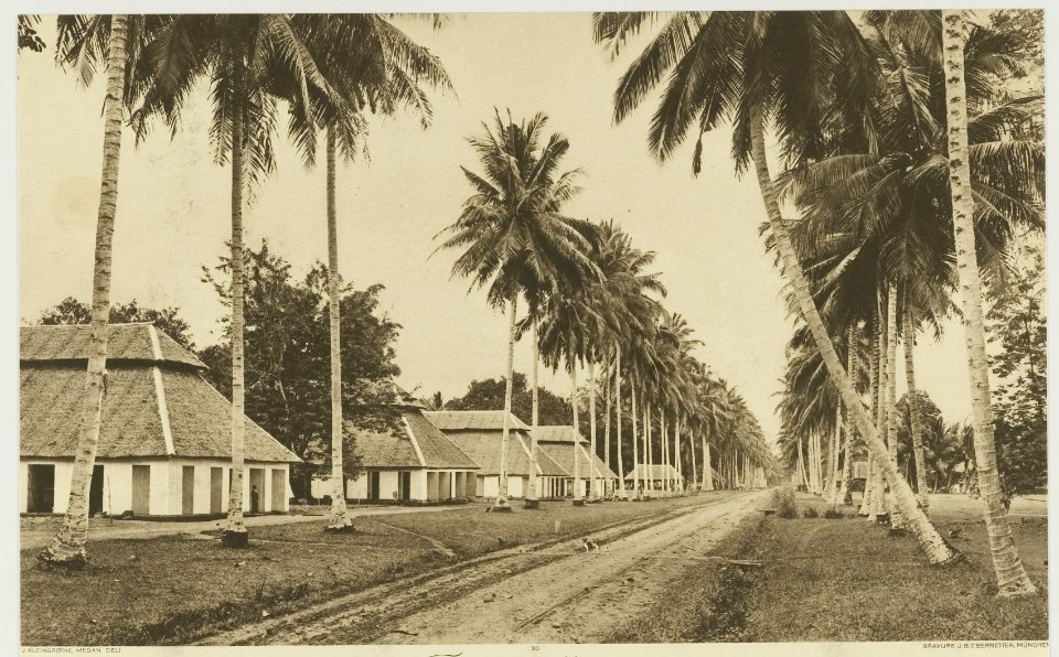 KITLV - 26932 - Kleingrothe, C.J. - Medan - Tobacco and rubber plantation Tandjoeng Morawa, East Coast of Sumatra - circa 1905