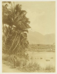 KITLV - 26966 - Kurkdjian - Soerabaja - Lake near Garut, West Java - circa 1900