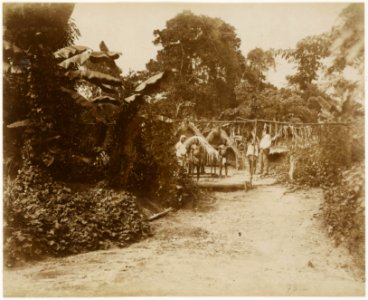 KITLV - 39074 - Muller, Julius Eduard - Paramaribo - The entrance to a forest village - around 1885