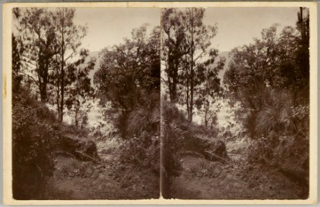 KITLV - 28597 - Kurkdjian, Ohannes - Soerabaja - Pass at the Sand Sea (Lautan Pasir) at the Tengger - circa 1900
