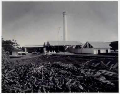 KITLV - 16606 - Kurkdjian - Sugar factory De Maas at Besuki, East Java - circa 1910