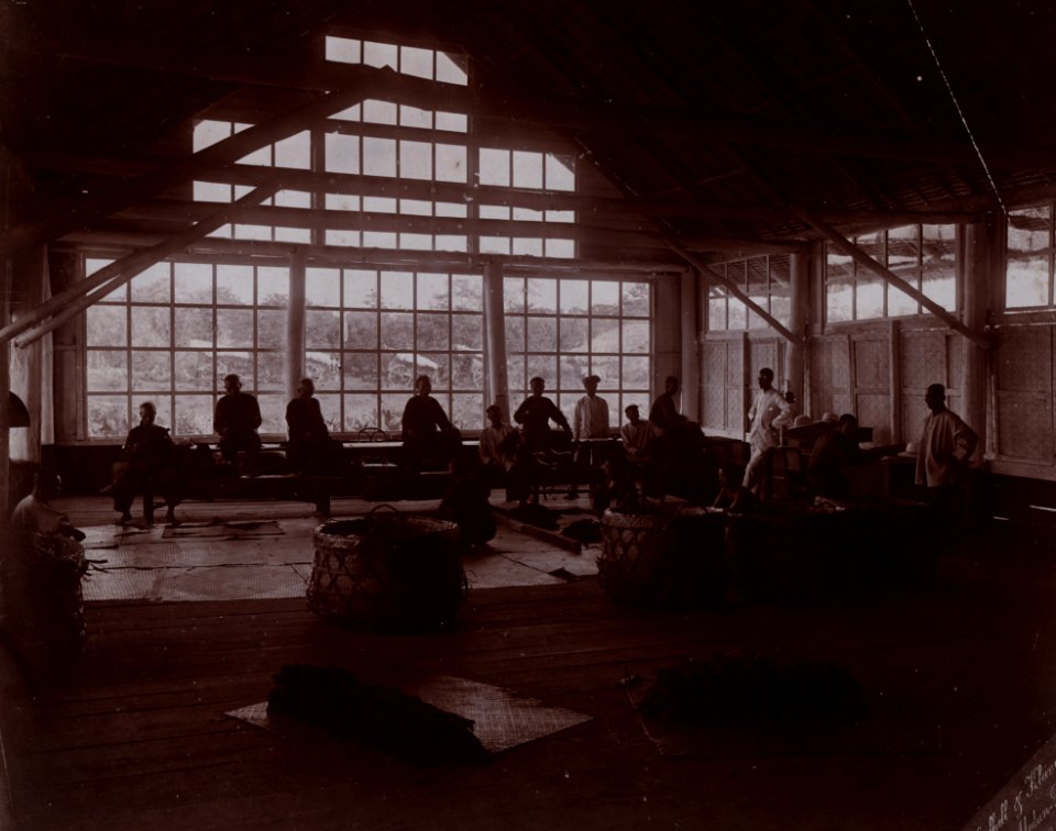 KITLV - 402751 - Stafhell & Kleingrothe - Medan-Deli - Packing the graded tobacco on a plantation in Deli, Sumatra - circa 1900