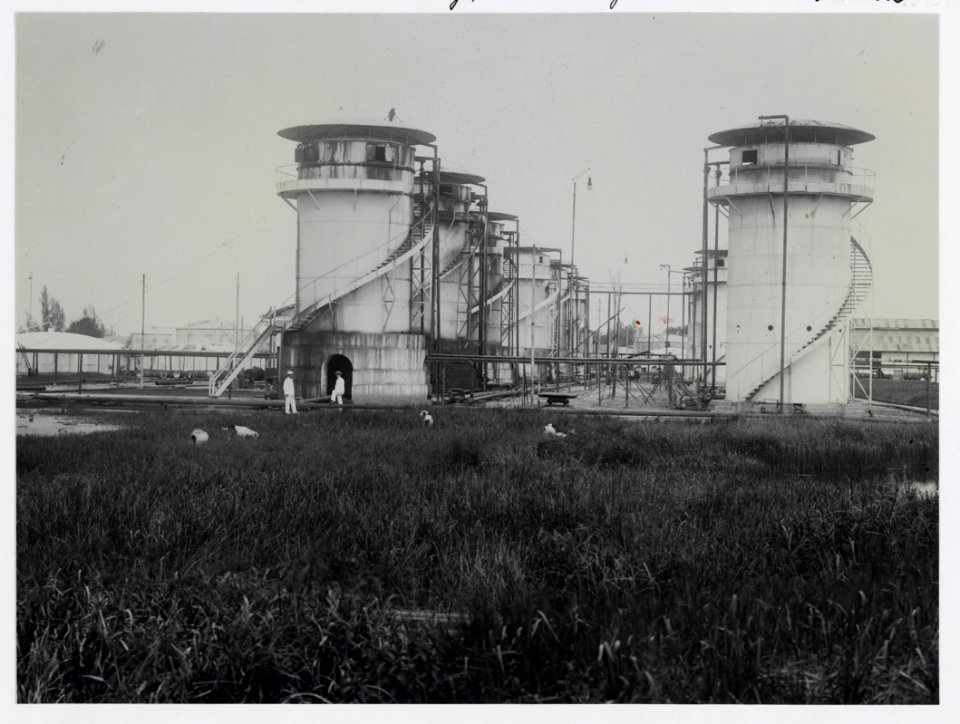 KITLV - 16642 - Kleingrothe, C.J. - Medan - Agitatorpark of the Batavian Petroleum Company at Pangkalan Brandan - 1916
