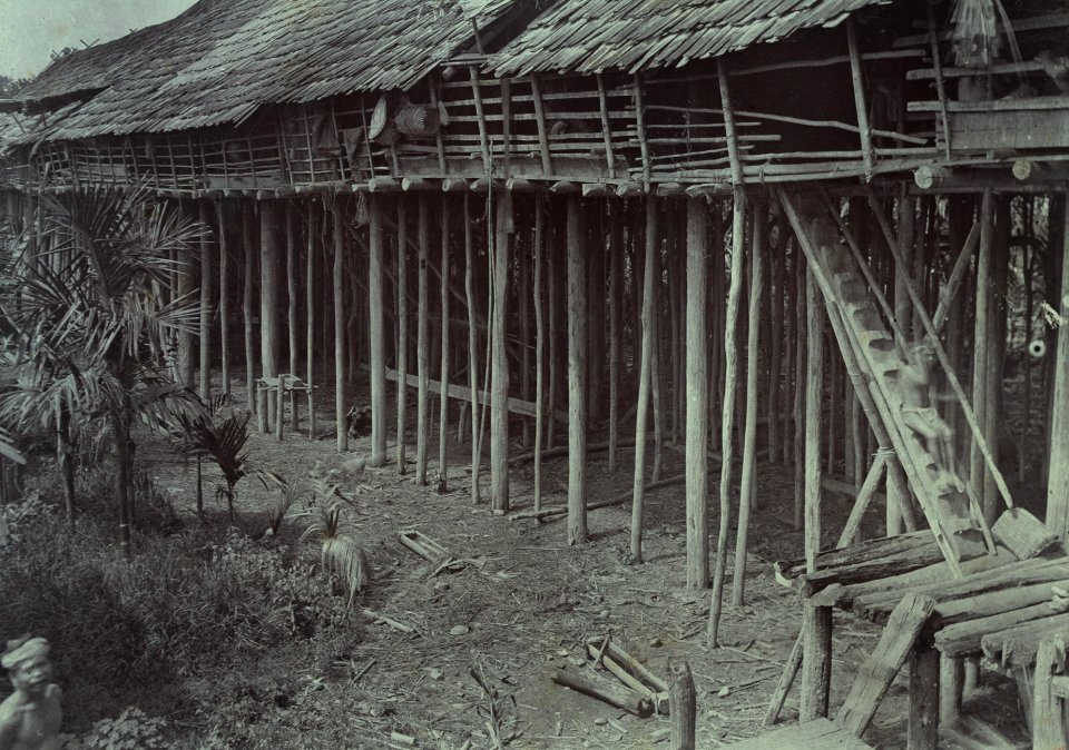 KITLV - 407998 - Demmeni, J. - The house with main staircase and platform of the Kayan headman Akam Igau at Tandjong Karang, Central Borneo. In the foreground are some pinang palms - 1896-05