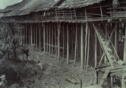 KITLV - 407998 - Demmeni, J. - The house with main staircase and platform of the Kayan headman Akam Igau at Tandjong Karang, Central Borneo. In the foreground are some pinang palms - 1896-05