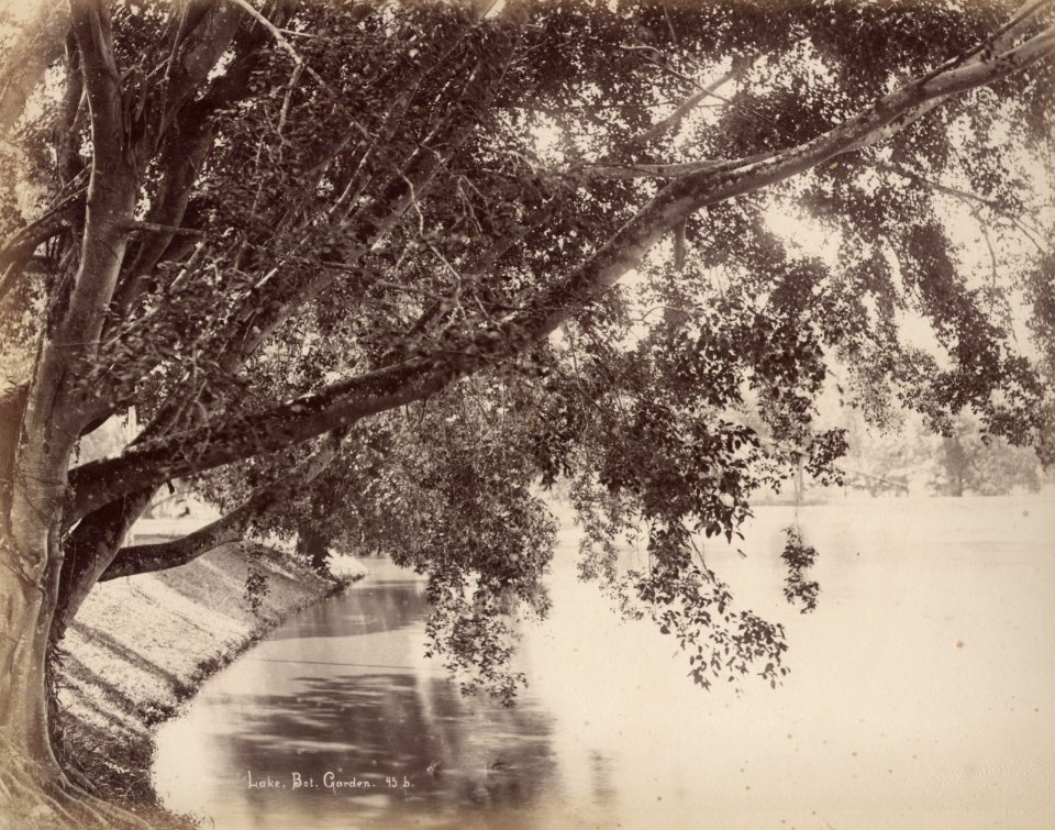 KITLV - 50206 - Lambert & Co., G.R. - Singapore - A lake in the botanical garden in Singapore - circa 1900