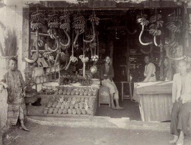 KITLV - 50210 - Fruit seller in Singapore - circa 1900