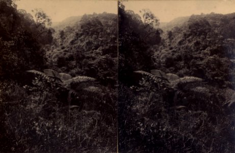 KITLV - 180502 - Kurkdjian, Ohannes - Soerabaya - Landscape on Java - circa 1900