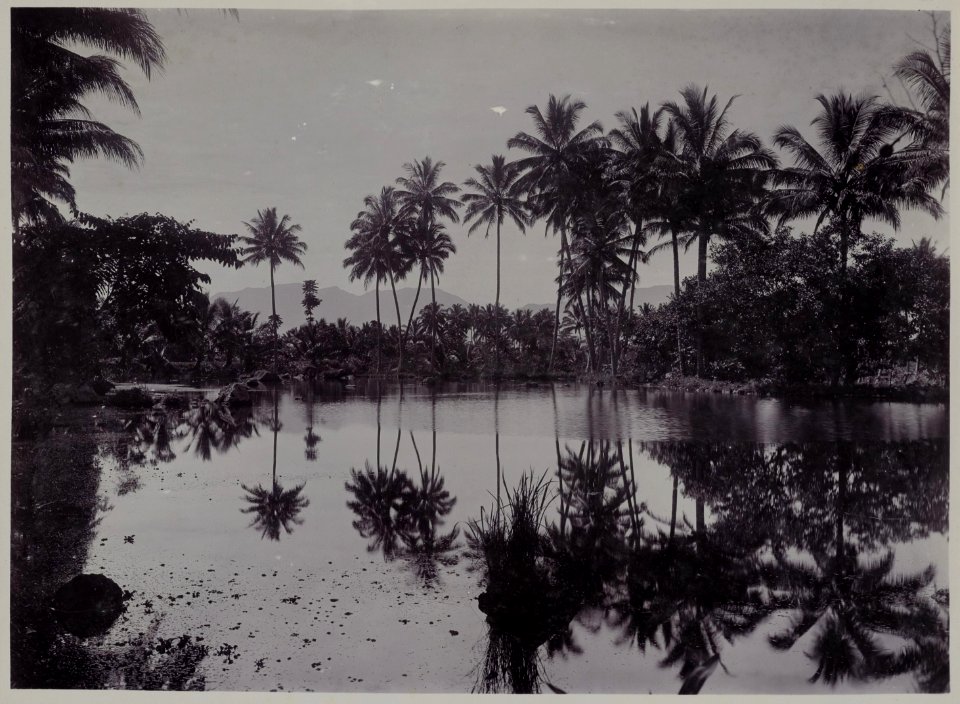 KITLV - 53070 - Kurkdjian - Soerabaja - Fishponds at Cipanas in Garut - circa 1910