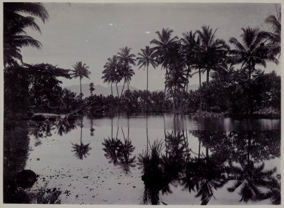 KITLV - 53070 - Kurkdjian - Soerabaja - Fishponds at Cipanas in Garut - circa 1910