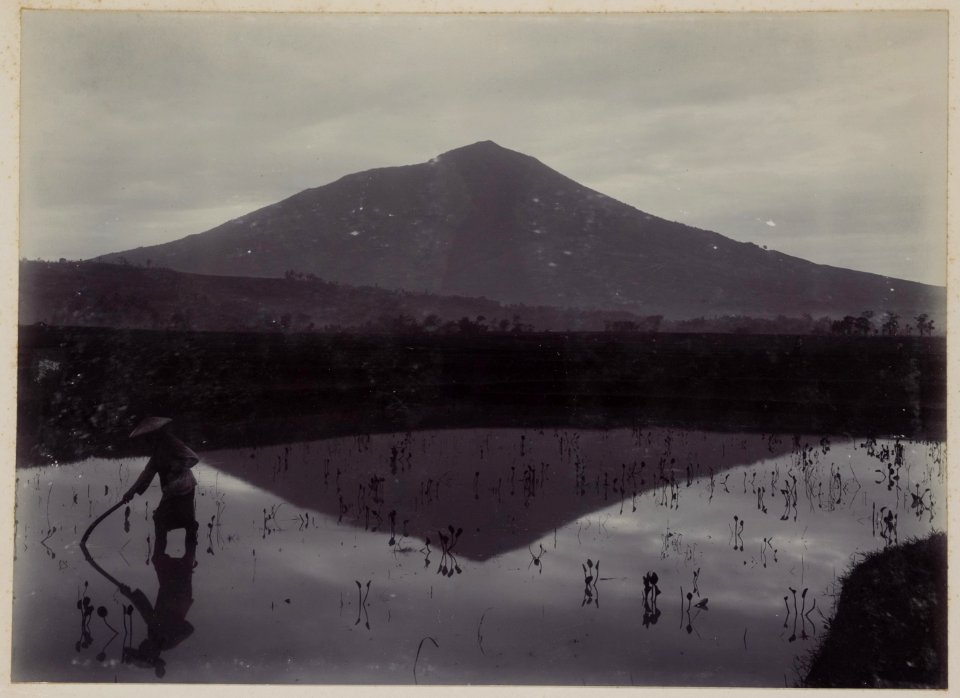 KITLV - 53074 - Kurkdjian - Soerabaja - Mount Cikuray, Garut, Indonesia. A volcano. - circa 1910