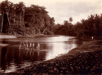KITLV - 180641 - Kurkdjian, N.V. Photografisch Atelier - Soerabaia-Java - Boys in a river on Java - circa 1910