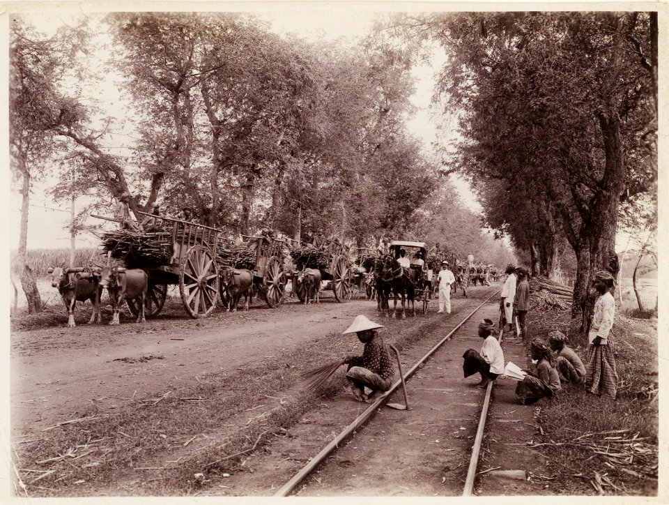 KITLV - 30209 - Kurkdjian, N.V. Photografisch Atelier - Soerabaja - Sugar plantation in East Java - 1921