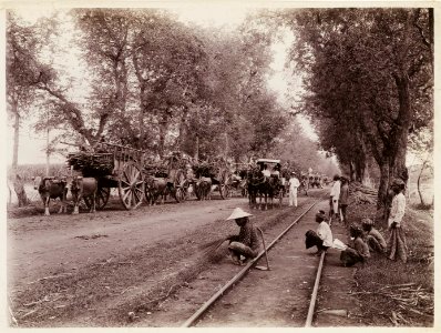 KITLV - 30209 - Kurkdjian, N.V. Photografisch Atelier - Soerabaja - Sugar plantation in East Java - 1921
