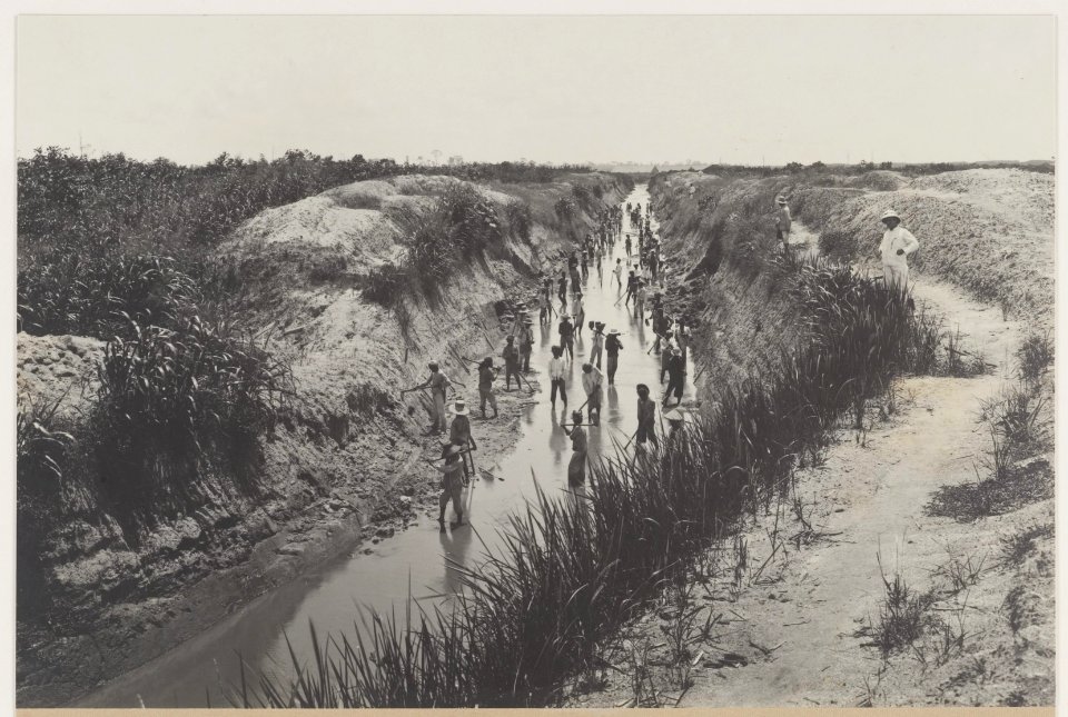 KITLV - 5477 - Kleingrothe, C.J. - Medan - Digging a channel for drainage of tobacco fields of the plantation Kwala Begoemit of the Deli Company in Deli - 1905