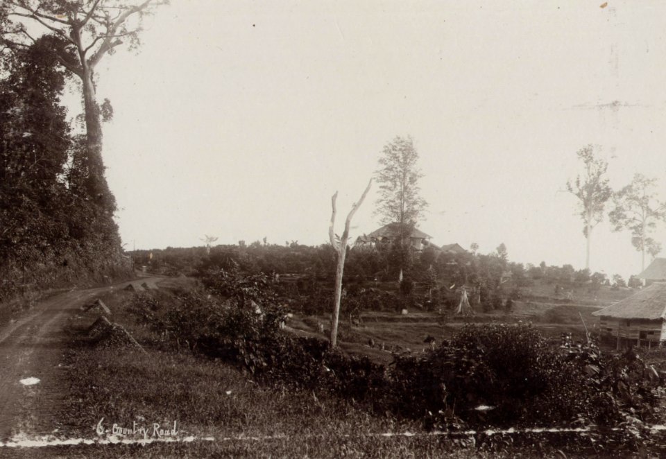 KITLV - 50212 - Lambert & Co., G.R. - Singapore - A road outside Singapore - circa 1900