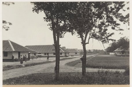 KITLV - 5498 - Kleingrothe, C.J. - Medan - House of Javanese workers on a tobacco plantation of the Deli Maatschappij (Deli Company), Deli - circa 1915