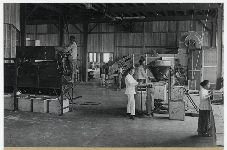 KITLV - 18478 - Kleingrothe, C.J. - Medan - Thea factory of company Naga Huta Estate in Kota Pematangsiantar - circa 1925