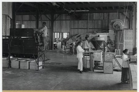 KITLV - 18478 - Kleingrothe, C.J. - Medan - Thea factory of company Naga Huta Estate in Kota Pematangsiantar - circa 1925