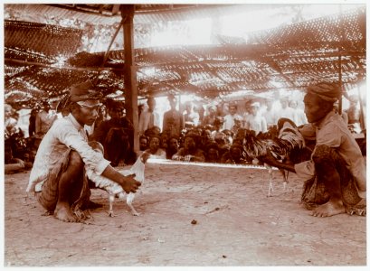 KITLV - 18859 - Kurkdjian - Cockfight in Bali - circa 1915