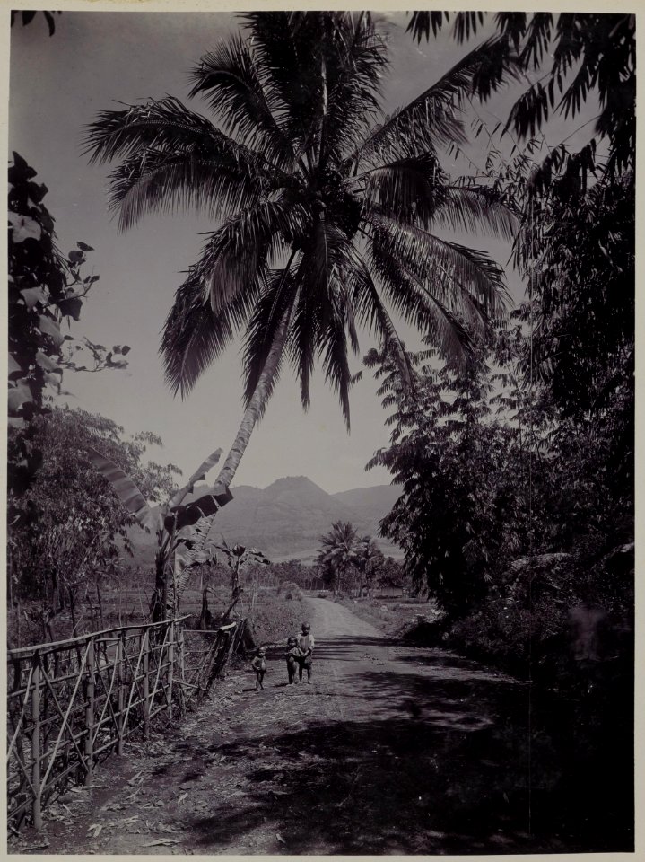 KITLV - 53072 - Kurkdjian - Soerabaja - Highway at Garut - circa 1910