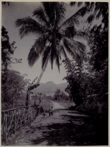 KITLV - 53072 - Kurkdjian - Soerabaja - Highway at Garut - circa 1910
