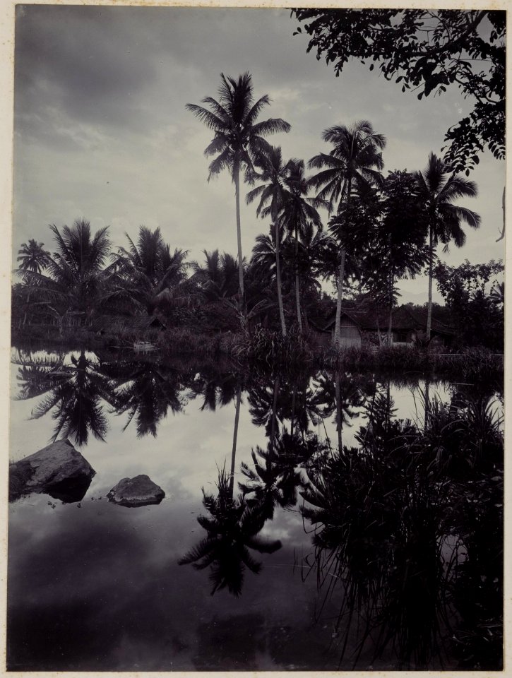 KITLV - 53076 - Kurkdjian, Ohannes - Soerabaja - Fishponds at Cipanas in Garut - circa 1910