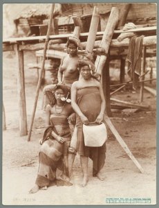 KITLV - 3610 - Kleingrothe, C.J. - Medan - Batak women from the Karo lands - circa 1880